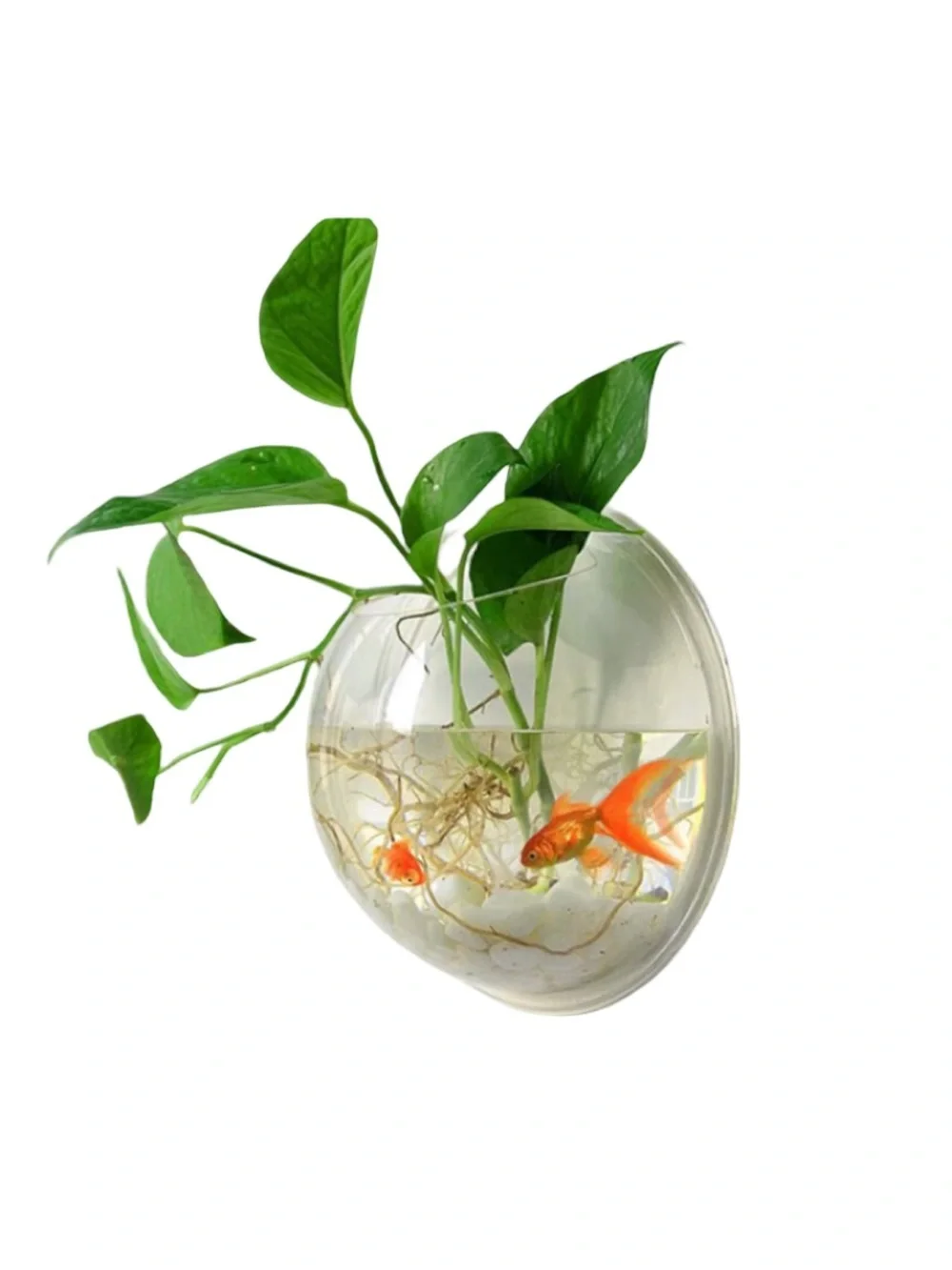 🚨Sale🚨 NWT Clear Acrylic Wall-Mount Hanging Fish Bowl Terrarium